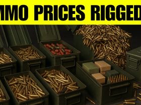 Massive Ammo SURPLUS?! Is NOW the Best Time to STOCKPILE?