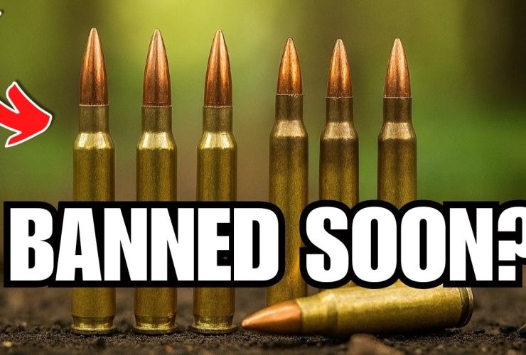 BIG Shortage INCOMING: 7 Calibers Every Gun Owner Should Stock in 2025! BIG Shortage INCOMING: 7 Calibers Every Gun Owner Should Stock in 2025!