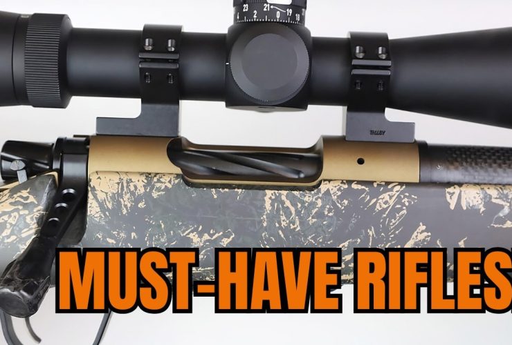 Top 5 Precision Hunting Rifles That Are Actually Worth Your Money [2025]