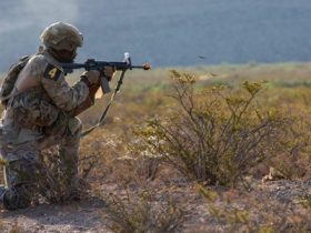 Army stands up Western Hemisphere Command as new strategies highlight domestic operations Army stands up Western Hemisphere Command as new strategies highlight domestic operations