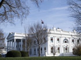 After shedding thousands of feds, Trump admin’s new ‘Tech Force’ aims to recruit workers to two-year jobs After shedding thousands of feds, Trump admin’s new ‘Tech Force’ aims to recruit workers to two-year jobs