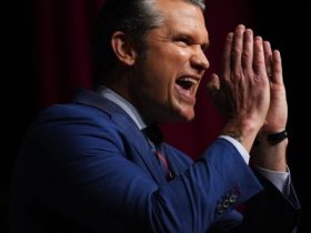 2025 in review: policy