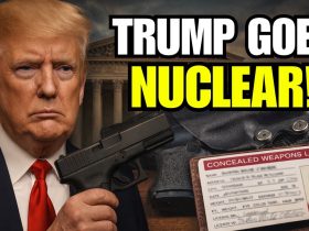 Trump goes NUCLEAR over Concealed Carry Ban