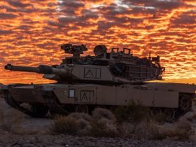 2025 in review: Army