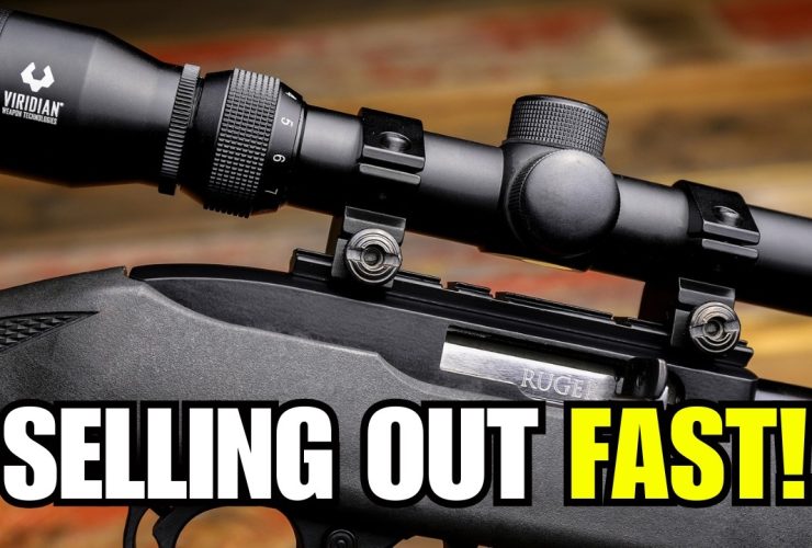 These 6 Guns Are Selling Out in 2025, And Nobody Saw It Coming!