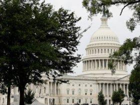 Shutdown odds plummet after House and Senate strike bipartisan deal on 2026 funding bills