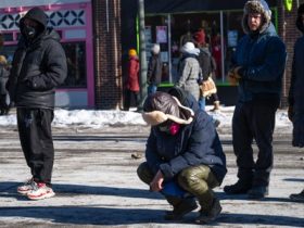Border Patrol agents kill VA nurse during protest