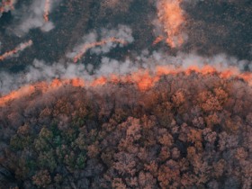 USDA Forest Service observability platform