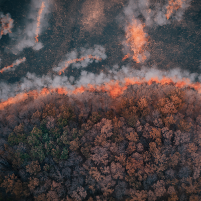 USDA Forest Service observability platform USDA Forest Service observability platform