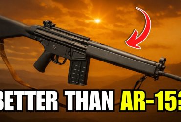 7 Surplus Rifles That Can Outlast Your AR-15!
