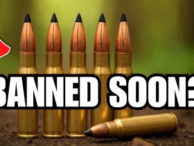 BIG Shortage INCOMING: 7 Calibers Every Gun Owner Should Stock in 2026!