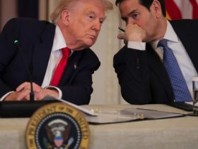 Take the win. Stop the war.