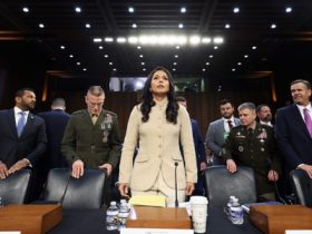 The National Security Council is missing in action