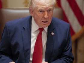 New anti-DEI requirements imposed on federal contractors New anti-DEI requirements imposed on federal contractors