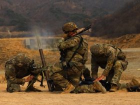 The Army wants to use bullets, mortars, and artillery to take out small drones