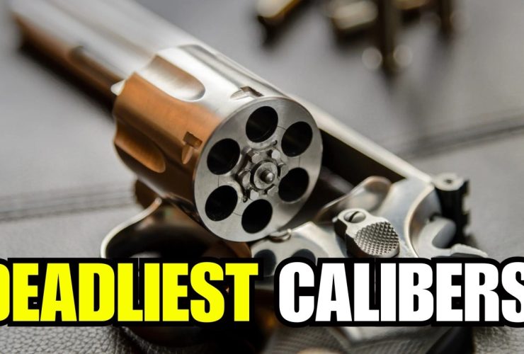 TOP 5 DEADLIEST Calibers for Revolvers! – #1 Will Shock You! TOP 5 DEADLIEST Calibers for Revolvers! – #1 Will Shock You!