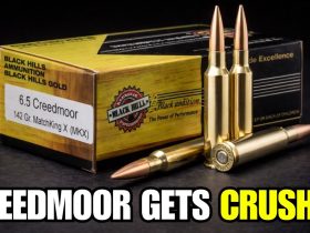 7 Cartridges That SMOKE the 6.5 Creedmoor!