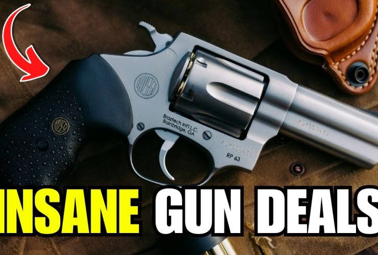5 CHEAP GUNS EVERYONE IGNORES (But These 3 Guns Are Absolute Goldmines)
