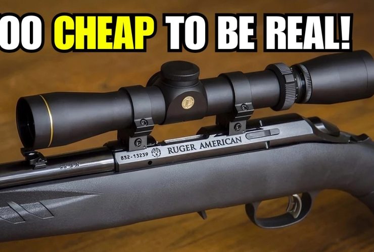 Top 5 Rifles For The $$$ (2026) || Best Budget Rifles on the Market?!