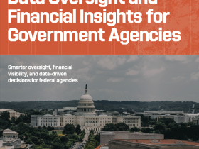 Proactive Data Oversight and Financial Insights for Government Agencies