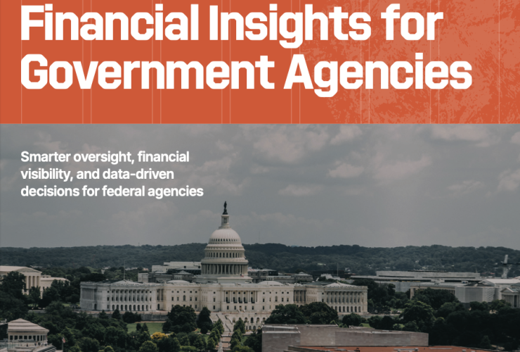 Proactive Data Oversight and Financial Insights for Government Agencies