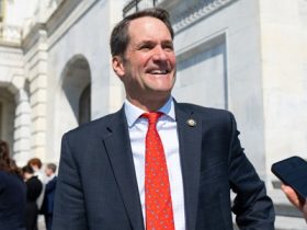 ‘It would be insane’ for spy agencies to lack early access to AI models, lawmaker says