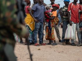 USAID’s abrupt shutdown increased violence in Africa, study shows USAID’s abrupt shutdown increased violence in Africa, study shows