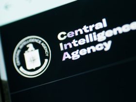 AI-powered cyber effects are ‘moving so fast, it’s scary’: a former Pentagon CIO