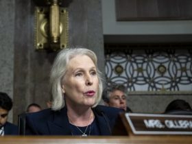 Cyber Force? Senator pushes to create service branch under the Army Cyber Force? Senator pushes to create service branch under the Army