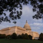House vote puts Section 702 on brink of lapse amid fight over acting spy chief