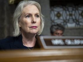 Push for new Cyber Force service branch narrowly fails in the Senate