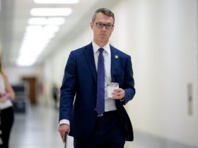 Lawmaker warns of administration’s ‘fetishization’ of Silicon Valley startups