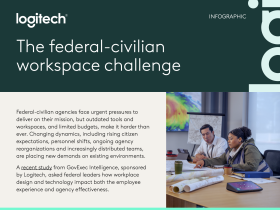 The federal-civilian workpace challange