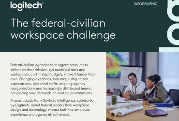 The federal-civilian workpace challange