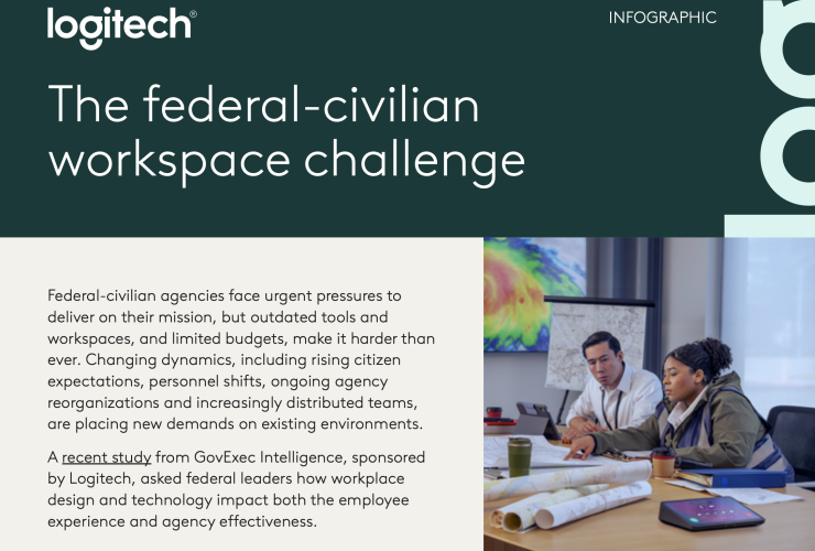 The federal-civilian workpace challange