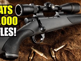 This 0 Rifle Outshoots ,000 Guns — 11 Best Value Rifles to Buy Right Now (2026)