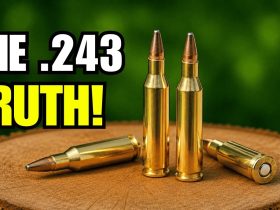 10 Shocking Facts About the .243 Winchester – They Don’t Want You to Know! 10 Shocking Facts About the .243 Winchester – They Don’t Want You to Know!