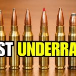 The 6 Most Underrated Hunting Calibers (The TRUTH About #3)