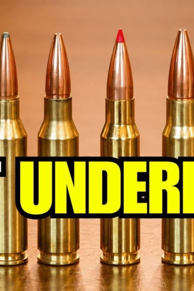 The 6 Most Underrated Hunting Calibers (The TRUTH About #3)