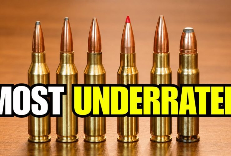The 6 Most Underrated Hunting Calibers (The TRUTH About #3) The 6 Most Underrated Hunting Calibers (The TRUTH About #3)