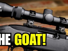 6 Reasons The Ruger 10/22 Became America’s Favorite .22 Rifle