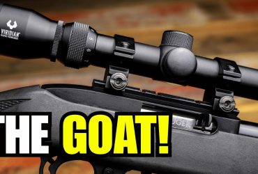 6 Reasons The Ruger 10/22 Became America’s Favorite .22 Rifle