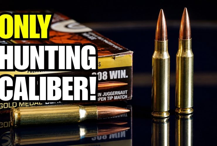 Why The .308 Winchester Is The Strongest “One Hunting Caliber” Pick Why The .308 Winchester Is The Strongest “One Hunting Caliber” Pick