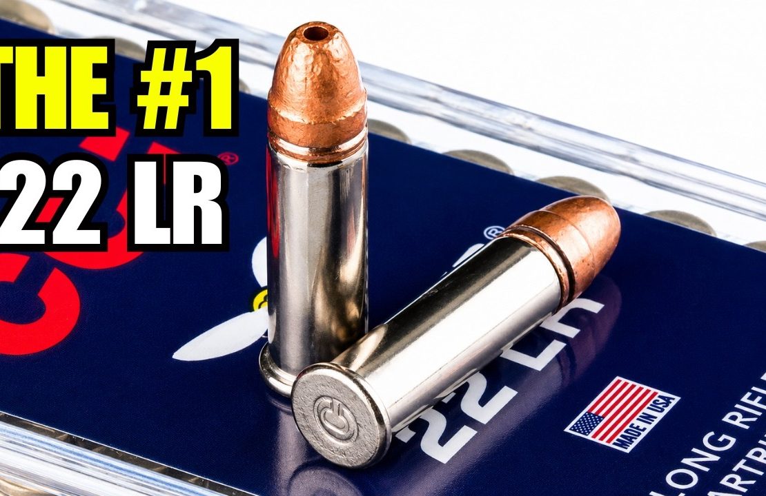 9 Best .22 LR Ammo for Defense, Hunting, and Reliability In 2026
