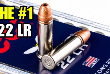 9 Best .22 LR Ammo for Defense, Hunting, and Reliability In 2026