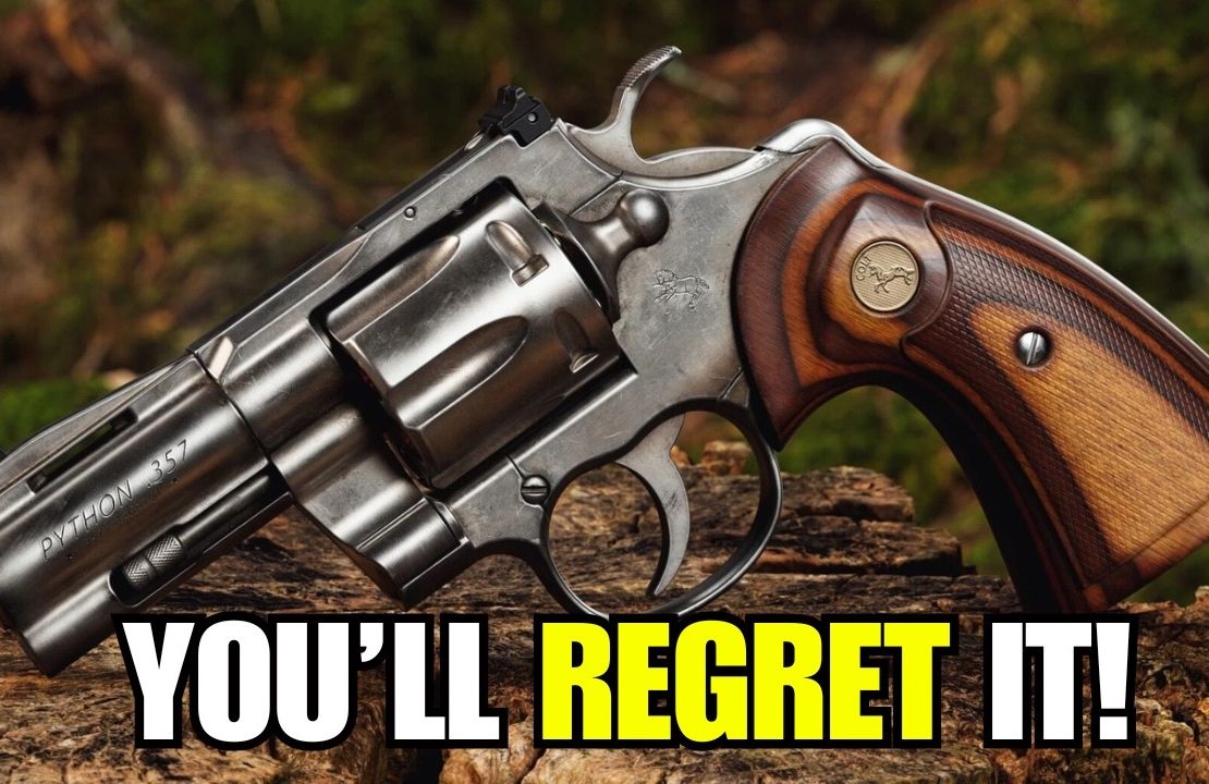 5 Revolvers You’ll REGRET Not Buying Before Prices Change!