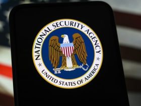NSA wants access to ‘all’ AI models, top official says