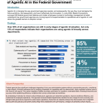 The State of Agentic AI in the Federal Government